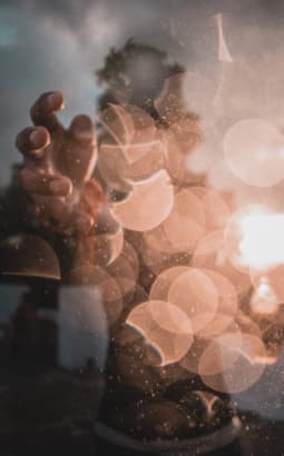 Syncopes - syncopes_fc