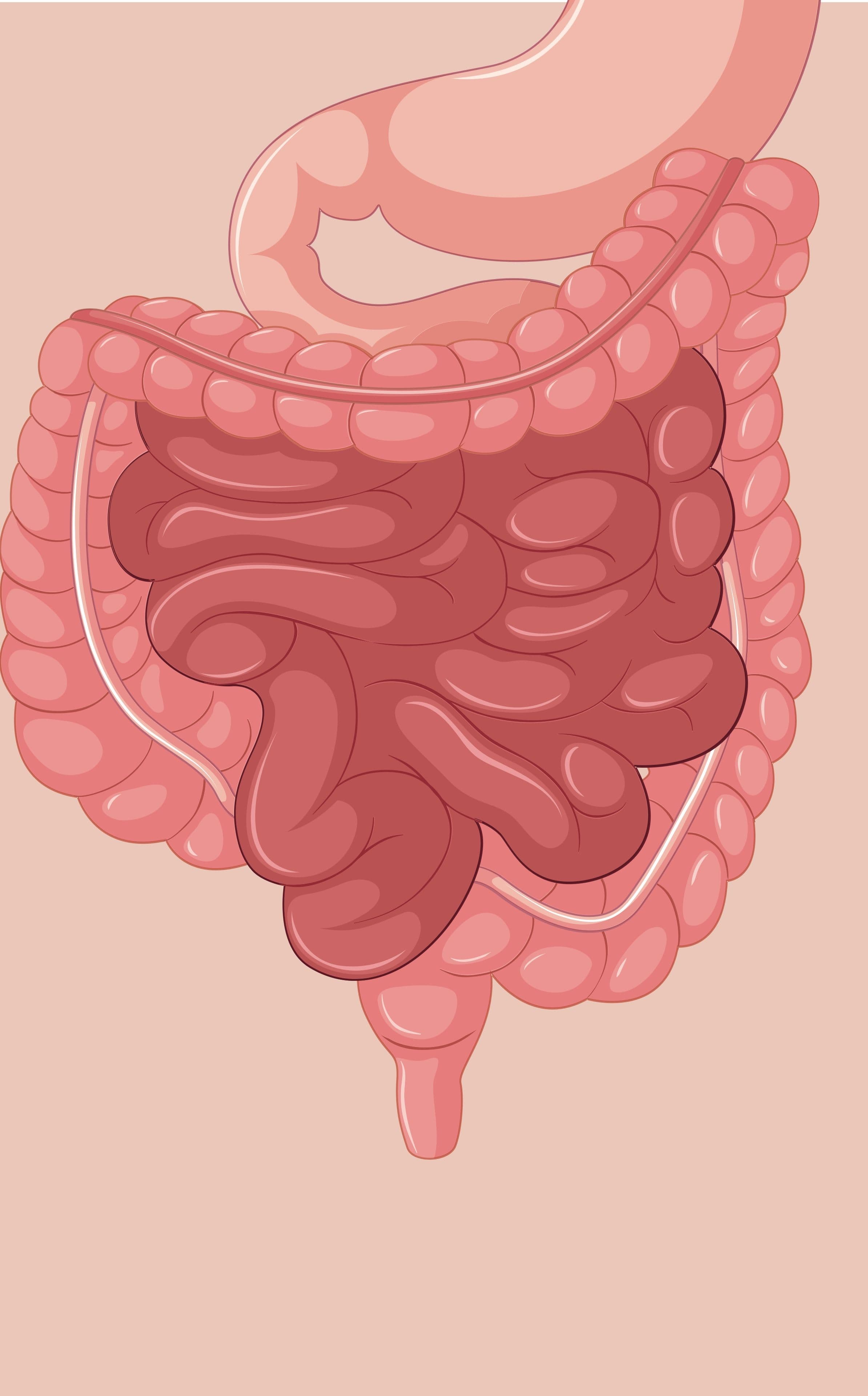 Programme formation Stomies