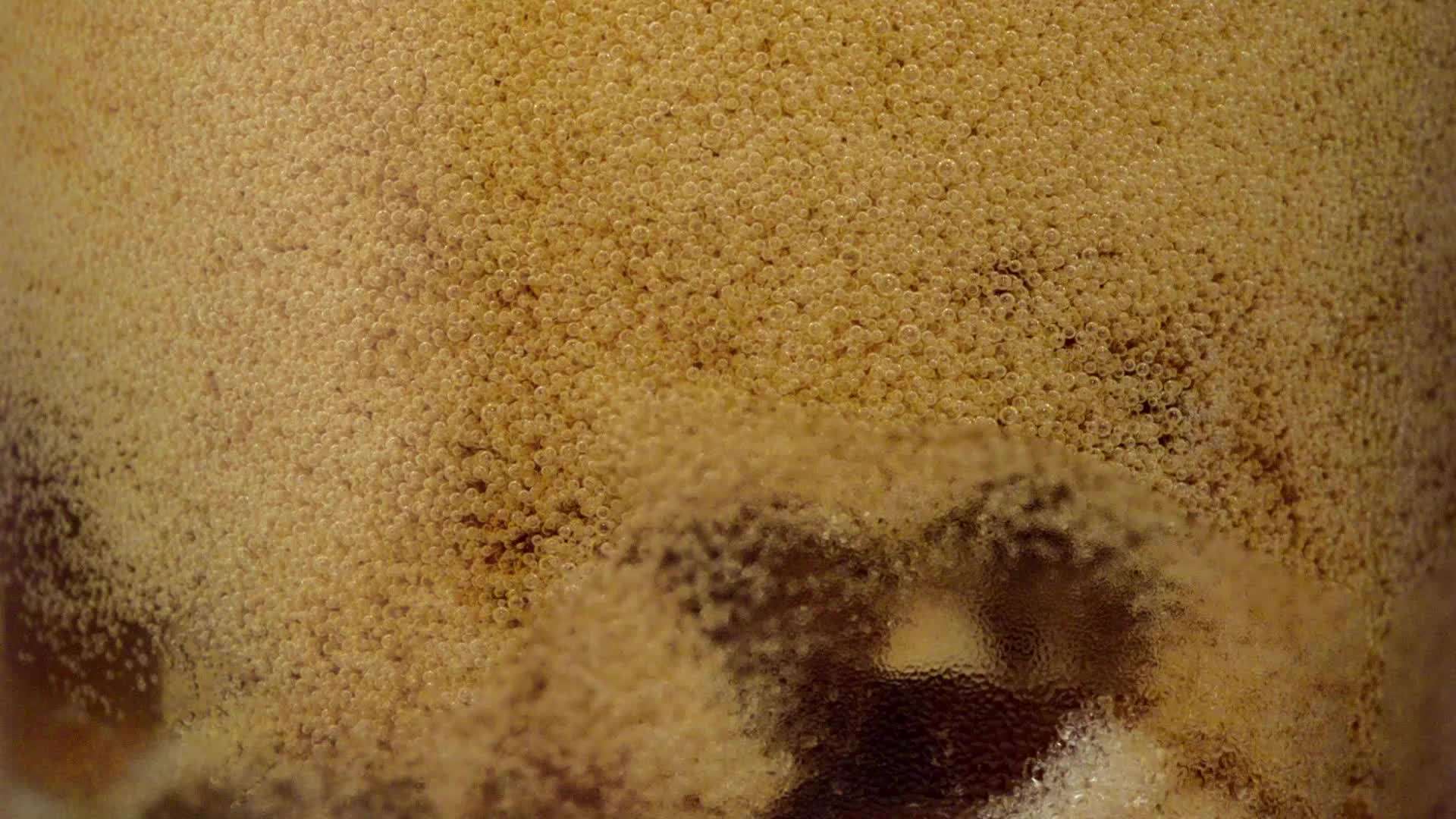 Formation Addictologie pour psychologues et psychothérapeutes