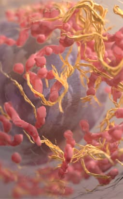 Anticancéreux oraux - anticancereux_fc