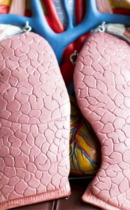 Kinésithérapie du patient BPCO - bpco_kine_fc