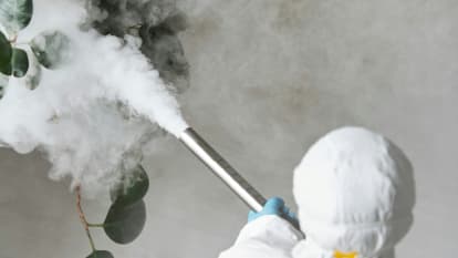 Bannière Certibiocide Nuisibles