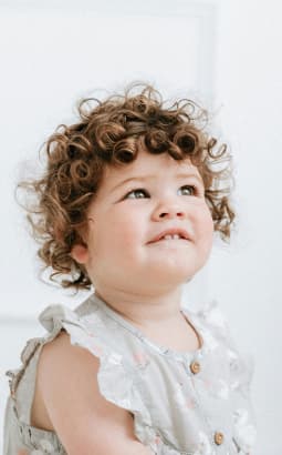 Développement du cerveau - edm_cerveau_pc