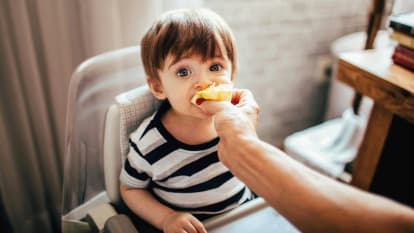 Bannière Normes HACCP en micro-crèche