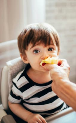 Normes HACCP en micro-crèche - edm_haccp_pc