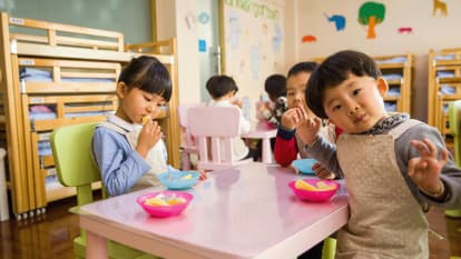 Bannière Nutrition et éducation au goût