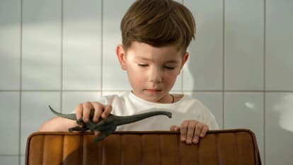Bannière Repérage des signes évocateurs de TSA chez l'enfant