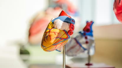 Bannière Les facteurs de risques cardiovasculaires : de l'hypertension artérielle au diabète