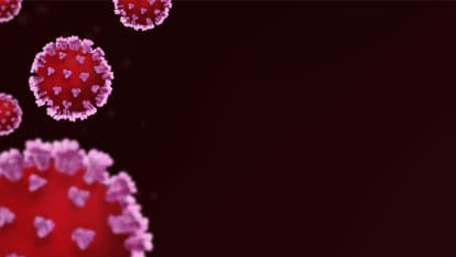 Bannière HPV