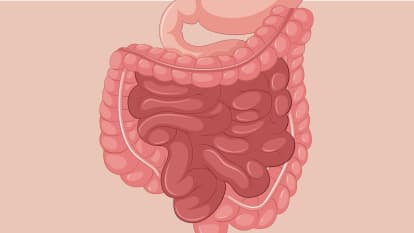 Bannière Stomies