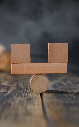 Troubles vestibulaires - vestibulaires_fc